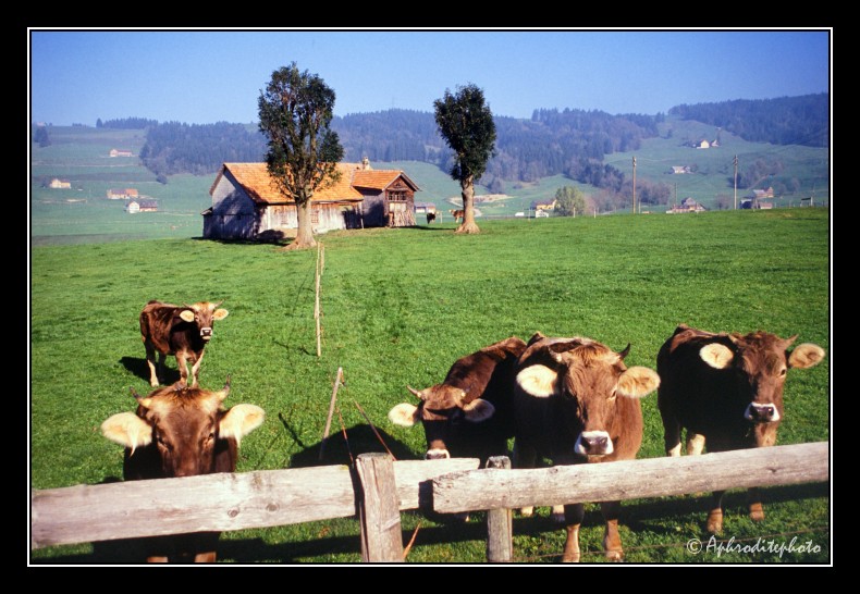 27 Typische Landschaft